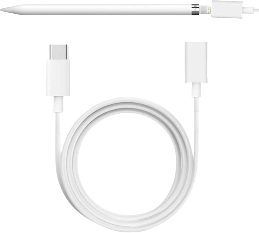Apple Pencil (USB-C) | 美品 | 付属品完備（完品） iPad (第10世代) +