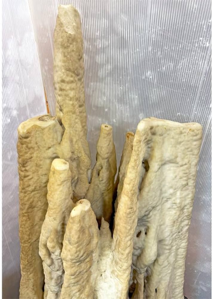 Amazon | 大自然が作り出した唯一無二の神秘な石 鍾乳石 【7】 高さ約