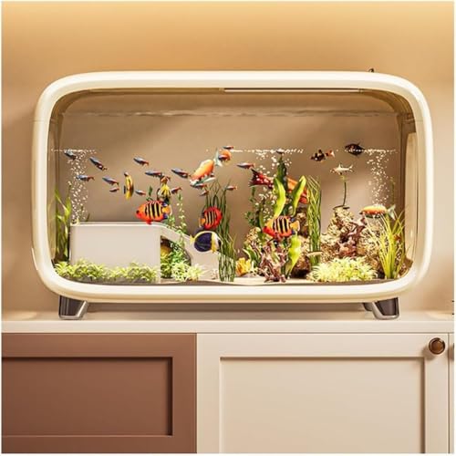 水草水槽 アクアテラリウム 水槽セット アクアテラリウム 水槽」の人気