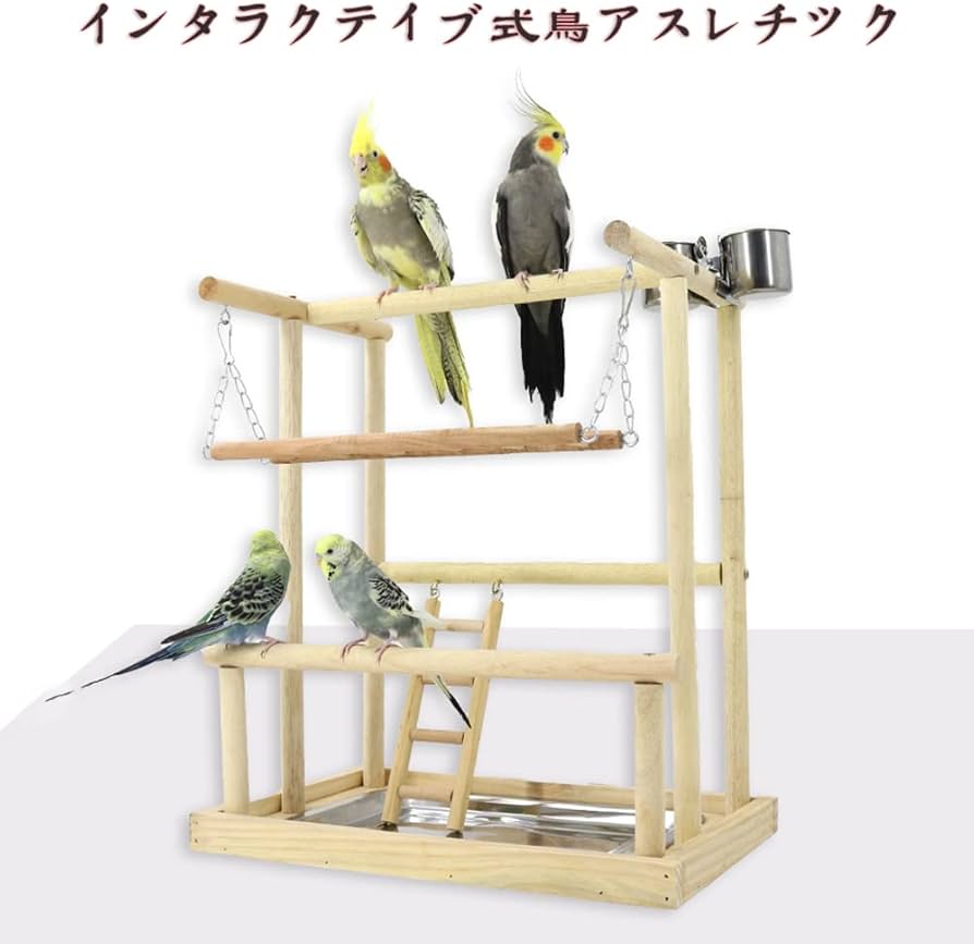 Amazon | 鳥アスレチック バードアスレチック インコ 遊び場 止まり木