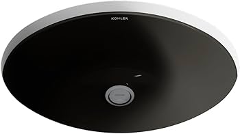 51S+mPvkO4L._AC_UF350,