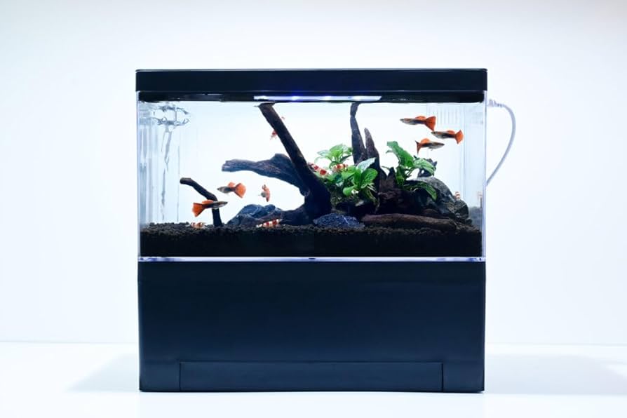 オーバーフロー水槽 セット Amazon | 横幅27cmで楽しむアクアリウム