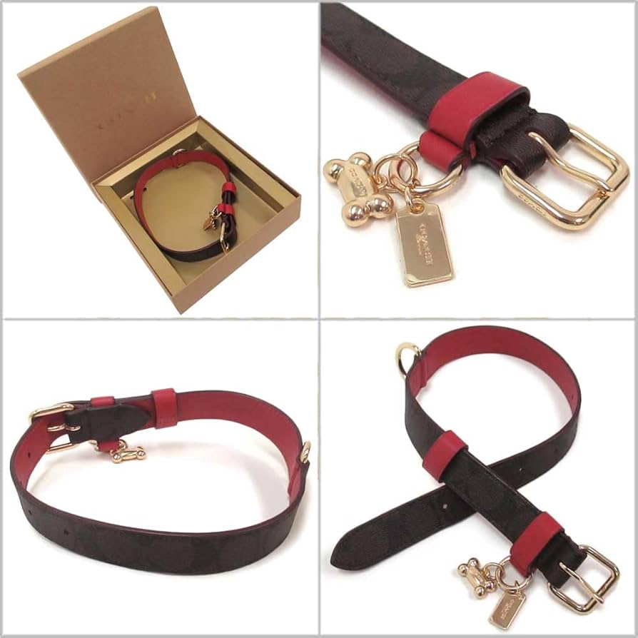 COACH 犬用首輪とリードのセット 新品 COACH レザー製リードと首輪