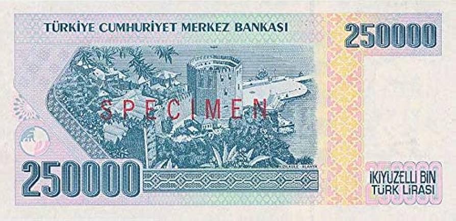 Amazon.co.jp: トルコ紙幣 250,000リラ 1992年 : ホビー