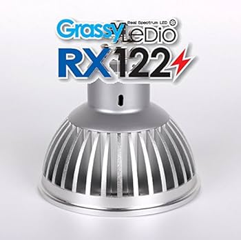 Amazon | ボルクスジャパン GrassyLeDio(グラッシーレディオ) RX122