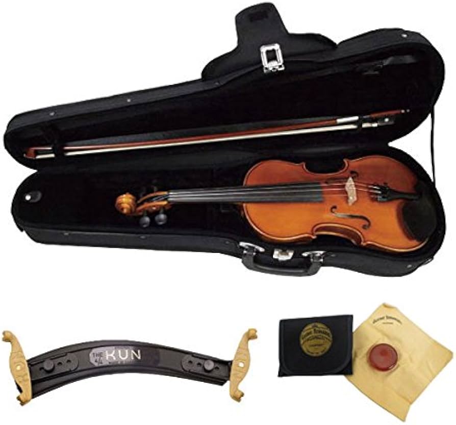 Amazon | EASTMAN VL80ｾｯﾄ 1/10 バイオリンセット (イーストマン