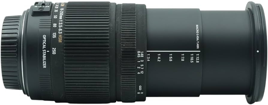Amazon.com : Sigma 18-250mm f/3.5-6.3 DC OS HSM IF Lens for Canon