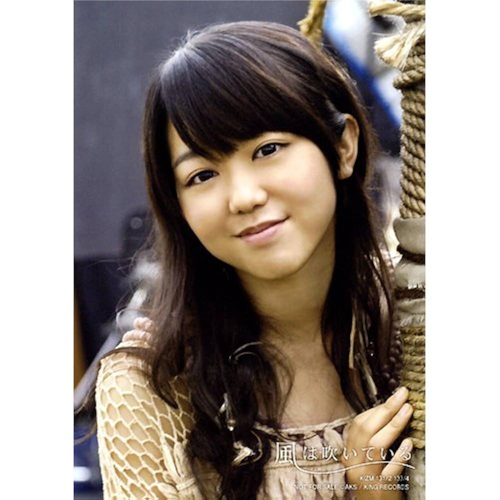 AKB 風は吹いている 通常 生写真 AKB 風は吹いている 通常
