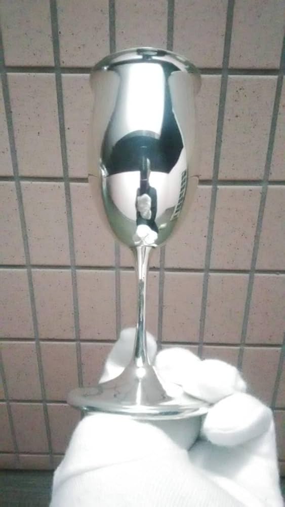 51Uu2Hivz8L._AC_UF894,