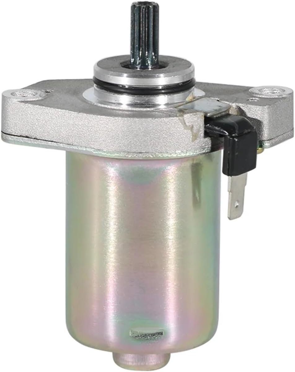 万年筆コレクターズボックス、100本入り、アグレスティー(イタリア)