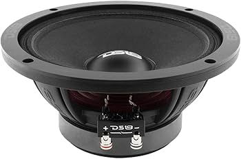 Amazon.com: DS18 PRO-ZXI8M 8