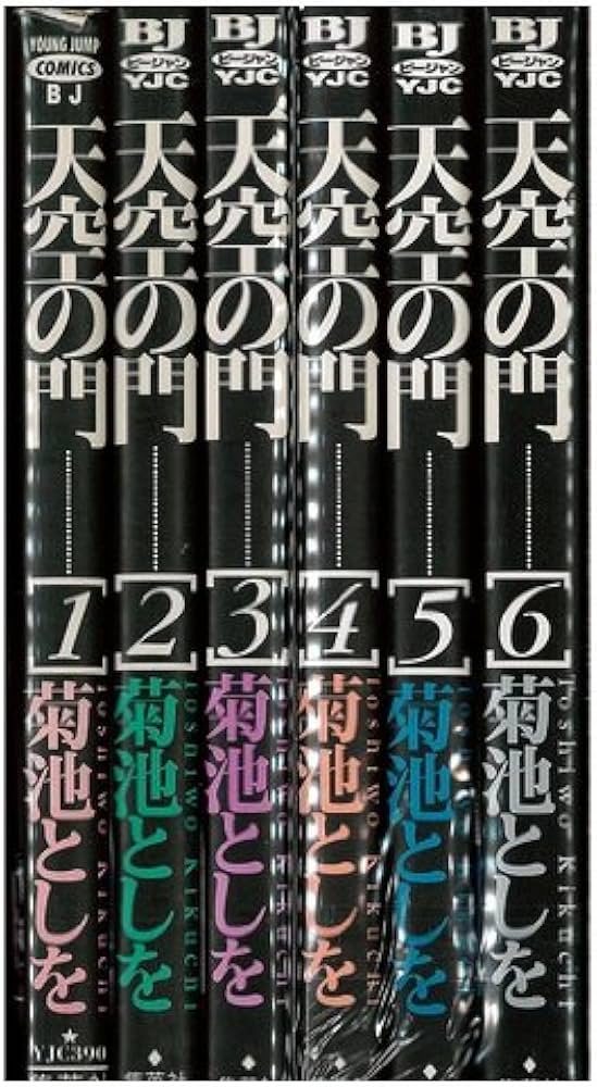 天空の門 全6巻(ヤングジャンプコミックス BJ) [マーケットプレイス