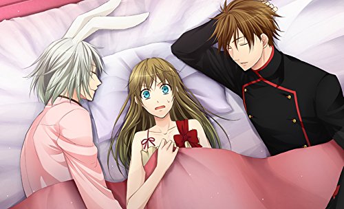 クローバーの国のアリス タペストリー クローバーの国のアリス