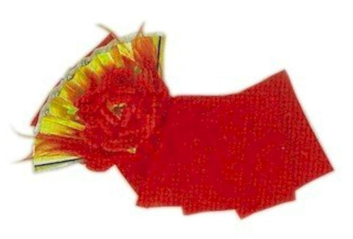 希少 手獅子 日本舞踊 小道具 獅子舞 赤獅子 舞手獅子 獅子頭 縁起物