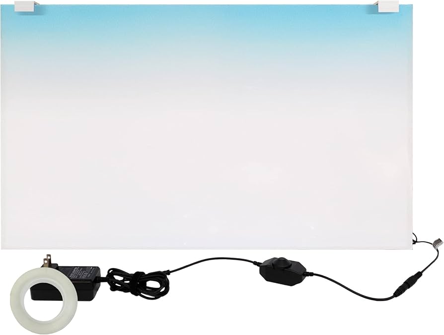 Amazon.co.jp: esAqua 水槽 バック スクリーン LEDライト PSE認証