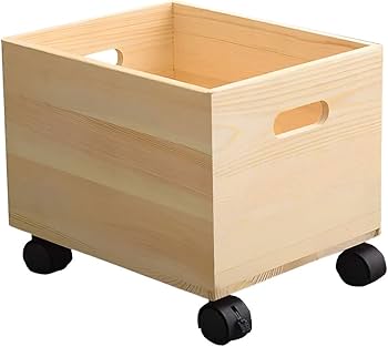 51Y3x7WTrnL._AC_UF350,