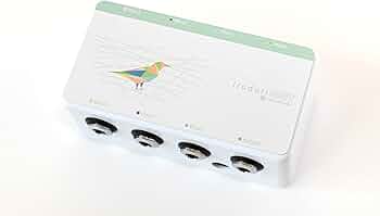 51Y2UsXMyKL._AC_UF350,