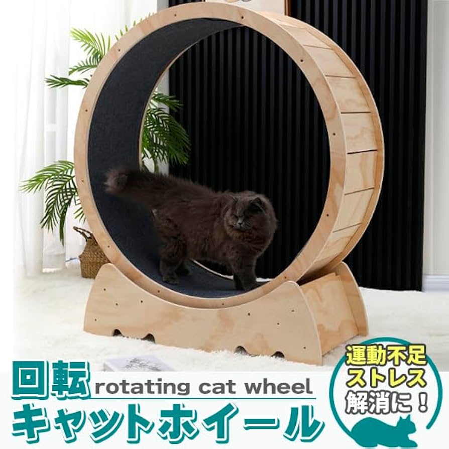 Amazon.co.jp: キャットホイール 猫専用ルームランナー 猫 回し車 猫