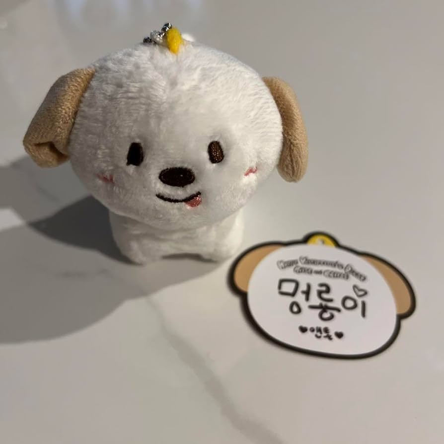 アウトレット RIIZE アントン 40cm 멍竜 RIIZE | 라이즈 Riize Anton