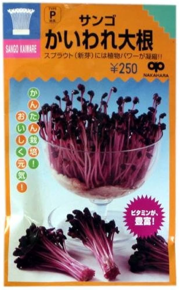 Amazon.co.jp: スプラウト 種 サンゴかいわれ大根 小袋（約35ml