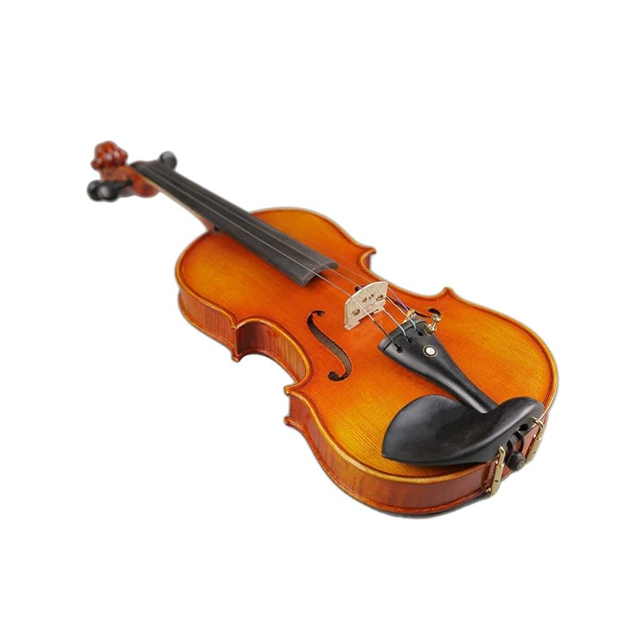 Amazon | Eastar バイオリン ヴァイオリン 4/4 単板 ソリッド