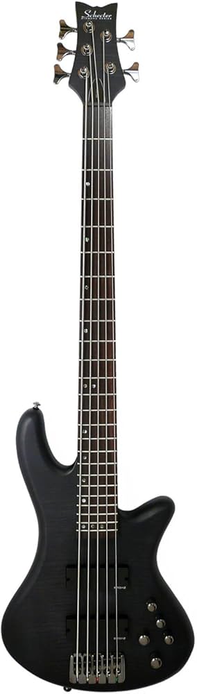 Amazon | SCHECTER STILETTO STUDIO 5【AD-SL-ST5】 5弦エレキベース