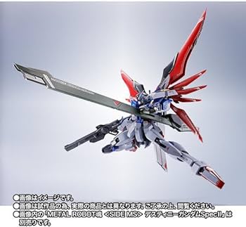 Amazon.co.jp: METAL ROBOT魂＜SIDE MS＞デスティニーガン ダムSpecII
