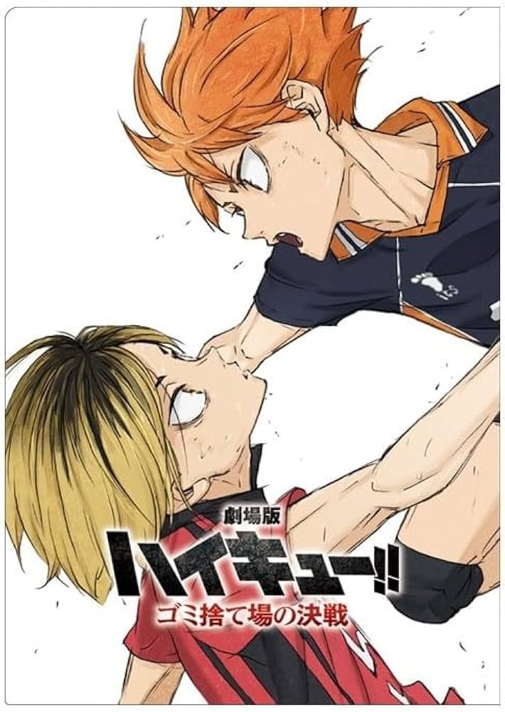 ハイキュー ゴミ捨て場の決戦 チケットファイル チケット付き 日向翔陽