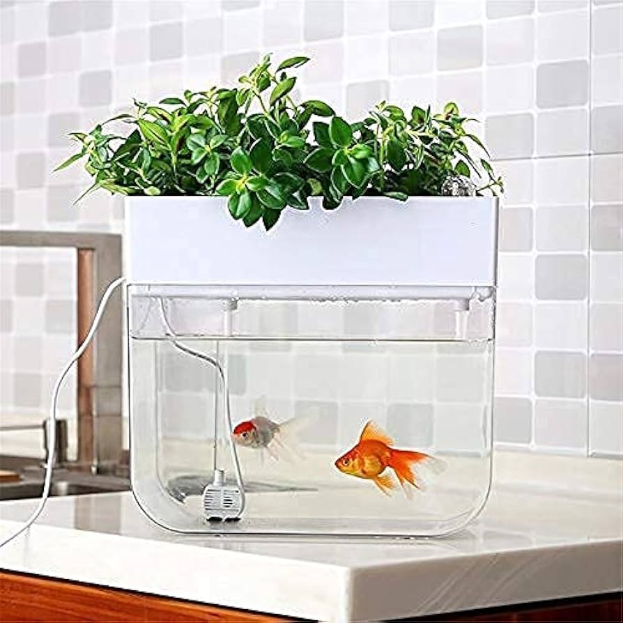 Amazon | おしゃれ アクアリウム アクアポニックス 水耕栽培システム