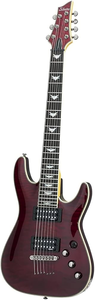Amazon.com: Schecter Omen Extreme-7 Electric Guitar - Black Cherry