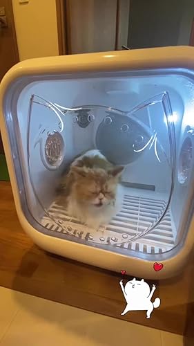 Amazon | ドライルーム ペット Zombazi | Zombazi | シャワー・バス