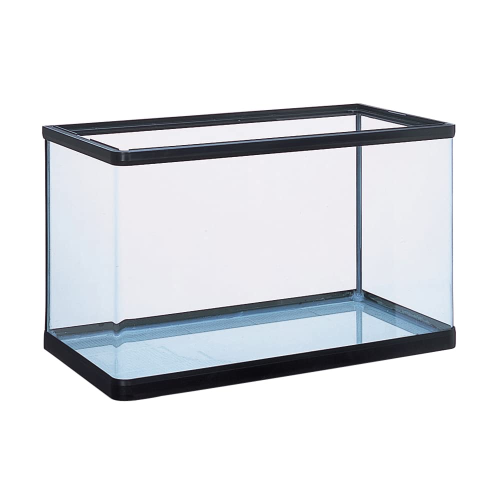 Amazon | ジェックス GEX AQUARIUM ラピレスRV60N 曲げガラス水槽W60