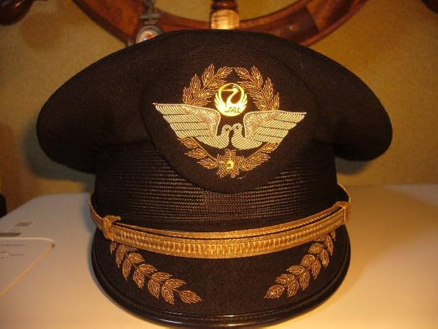 レア貴重 ANA パイロット キャプテン 機長 肩章 胸章 ネクタイピン