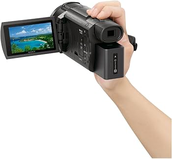 Amazon | SONY(ソニー) 4K ビデオカメラ Handycam FDR-AX60 ブラック