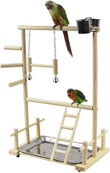 Amazon | Youjiu インコ 遊び場 二層 バード アスレチック 玩具