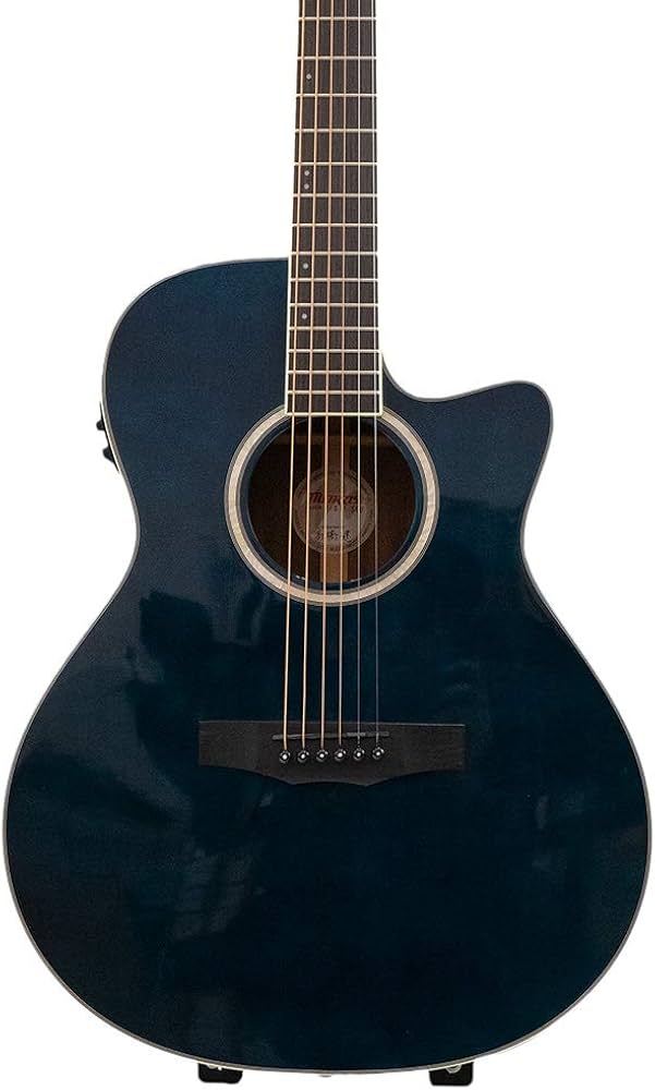 モーリスエレアコギター・ギグケース モーリスエレアコギター・ギグケース