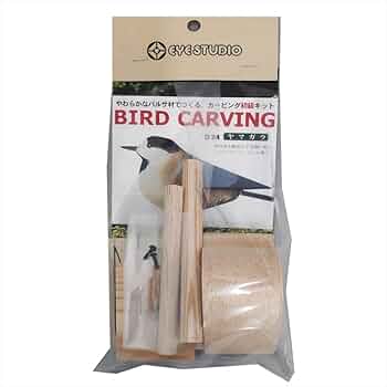 51dsTQy4KDL._AC_UF350,