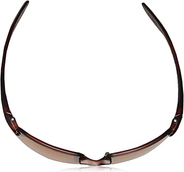 Amazon.com: Columbia Men's Unparalleled Oval Sunglasses, Brown