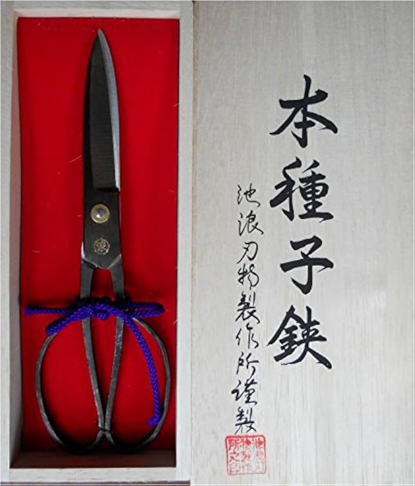 Amazon | 種子島本種 池浪刃物製作l所 種子鋏（たねばさみ）黒仕上げ 6