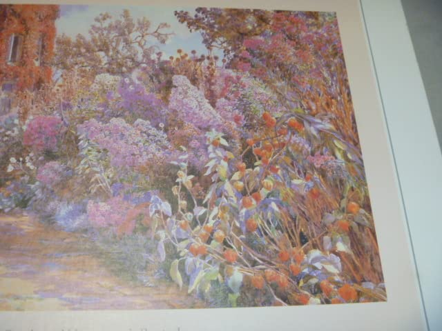 Amazon | 廃版 2000ピース BEATRICE PARSONS ベアトリス パーソンズ 十