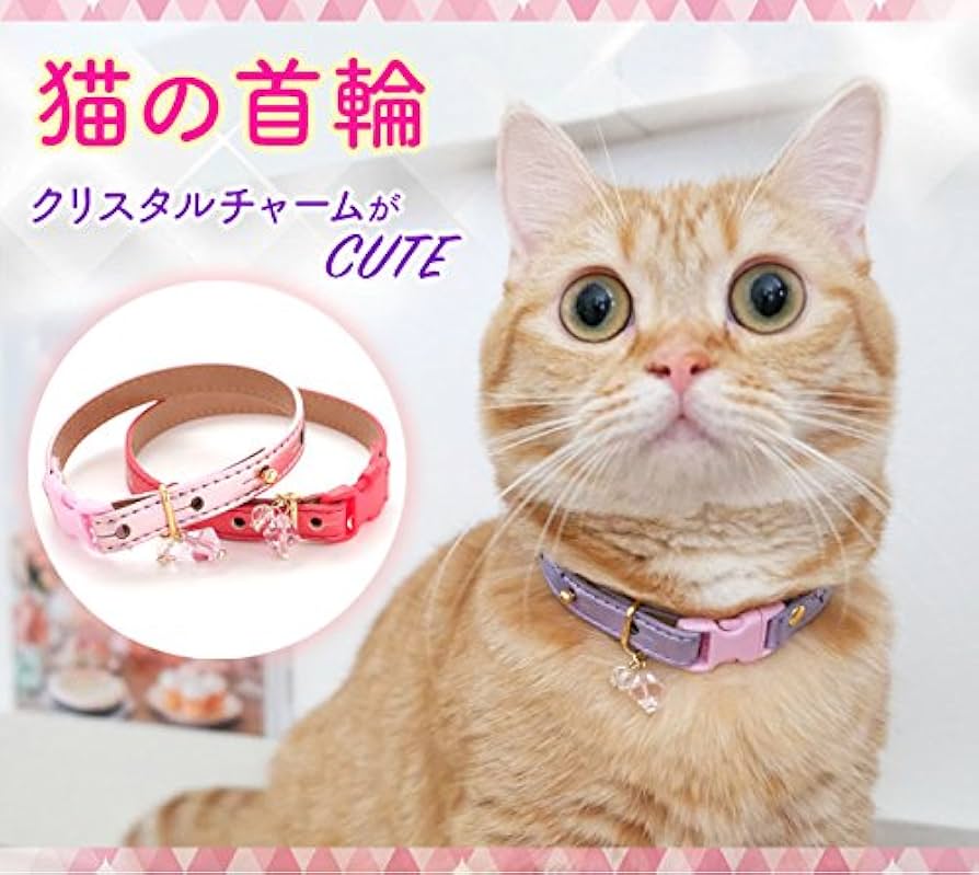 Amazon | 猫 首輪 ネコ ねこ 安全 革 かわいい おしゃれ セーフティ 皮