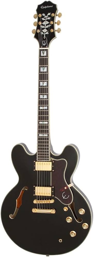 Amazon | Epiphone エピフォン セミアコギター Sheraton II PRO (Ebony