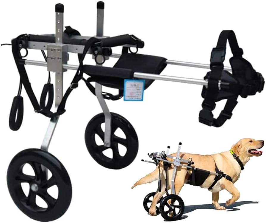 犬用車いす 黒 おしゃれ