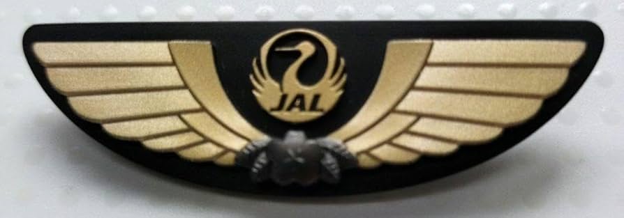 超レア】パンアメリカン航空 パイロット ウイング ピンバッチ 2025年