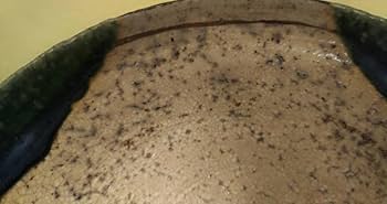 Amazon.co.jp: 二代 山口錠鉄 作 織部 平茶碗 木箱付き 瀬戸焼織部