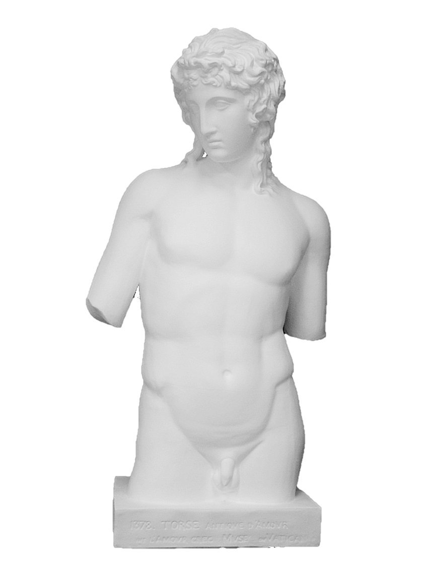 Amazon.co.jp: 石膏像 H－010 アムール半身像 H．95cm