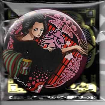 ONE PIECE ワンピース 輩缶バッジ trick ロビン 29点まとめ売り ONE