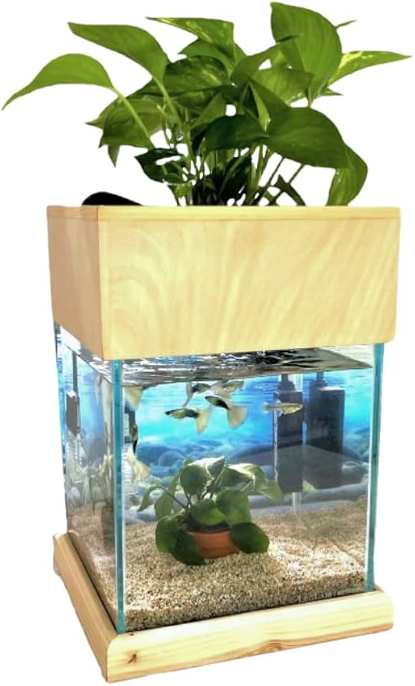 Amazon | せせらぎビオトープ 水替え不要【水槽セット】 20cm型【色
