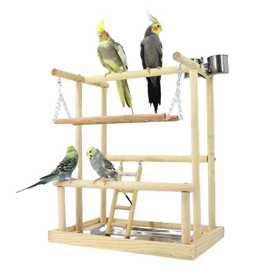 マロ小鳥の楽園バードアスレチックツリージム③ マロ様専用小鳥の楽園