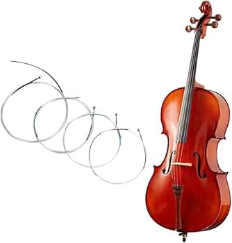 51hMiA+mWyL._AC_UF350,